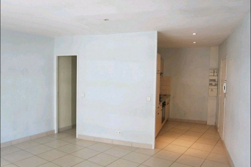 Appartement 1 pièce, 31 m² à ANNECY (réf. 010100H99205) - Photo 3