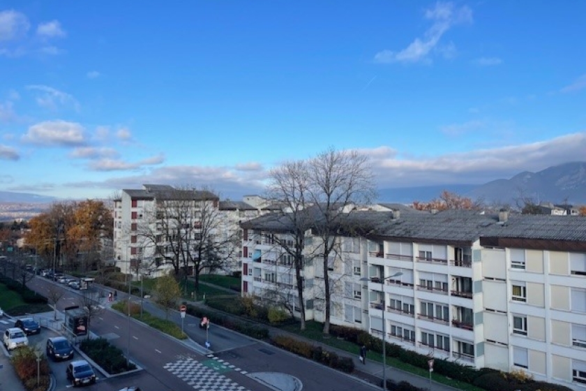 Appartement 4 pièces, 101 m² à ANNECY (réf. 0101003949) - Photo 6